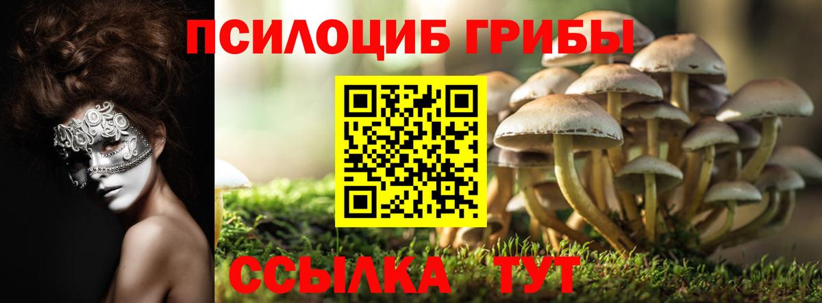 Карталы  Псилоцибиновые грибы мицелий  Вход с VPN  Галлюциногенные грибы GOLDEN TEACHER 