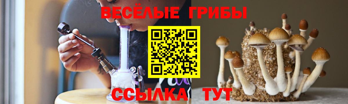 Псилоцибиновые грибы GOLDEN TEACHER Карталы